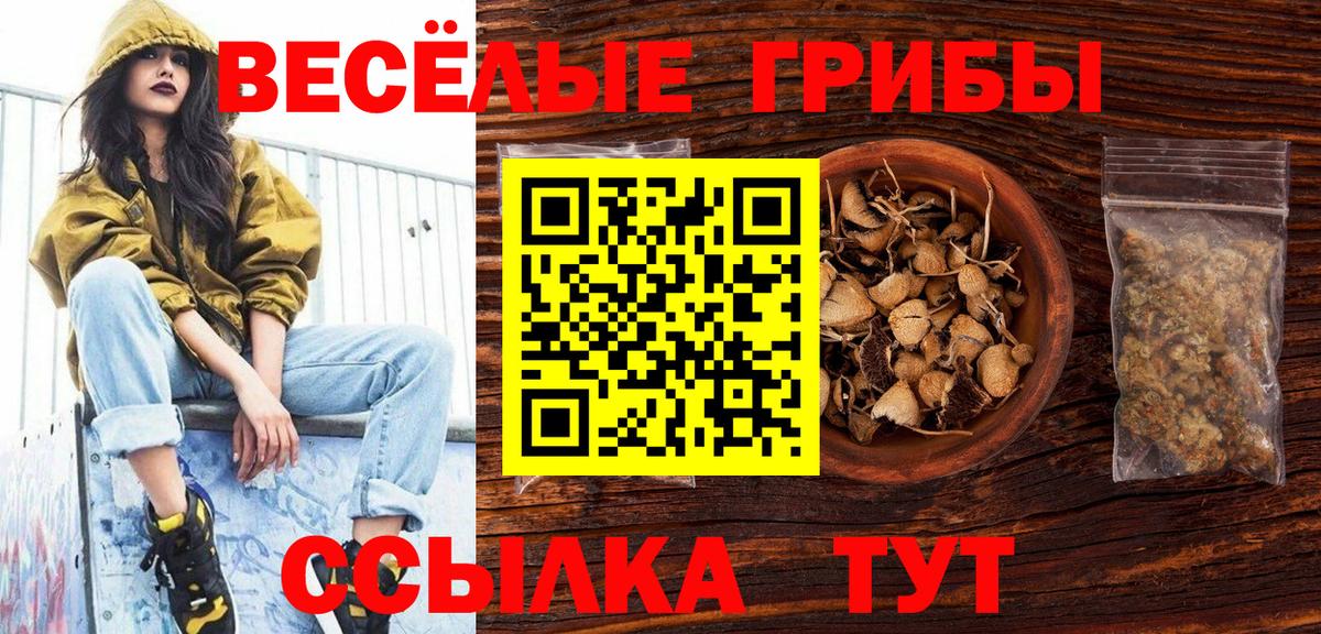 Галлюциногенные грибы прущие грибы Маркс