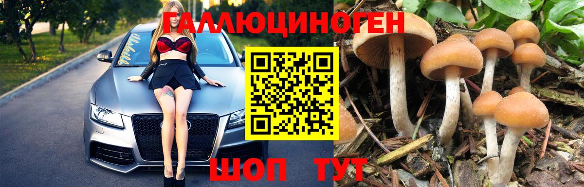 где купить наркотик  Галлюциногенные грибы ЛСД  Вход с VPN  Маркс 